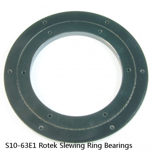S10-63E1 Rotek Slewing Ring Bearings #1 small image