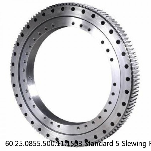 60.25.0855.500.11.1503 Standard 5 Slewing Ring Bearings #1 small image