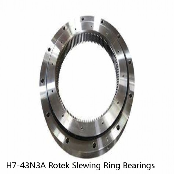 H7-43N3A Rotek Slewing Ring Bearings #1 small image