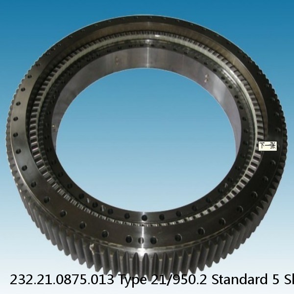 232.21.0875.013 Type 21/950.2 Standard 5 Slewing Ring Bearings #1 small image