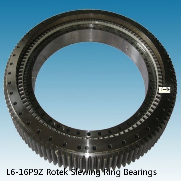 L6-16P9Z Rotek Slewing Ring Bearings