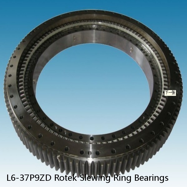 L6-37P9ZD Rotek Slewing Ring Bearings #1 small image