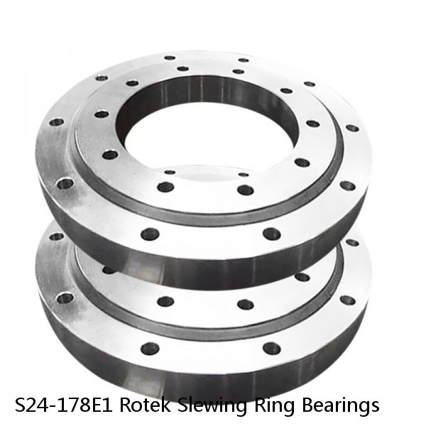 S24-178E1 Rotek Slewing Ring Bearings #1 small image