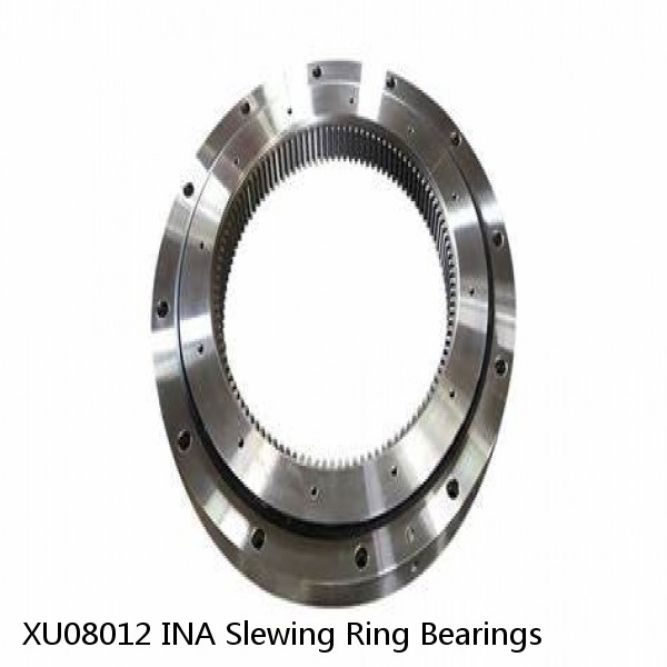 XU08012 INA Slewing Ring Bearings
