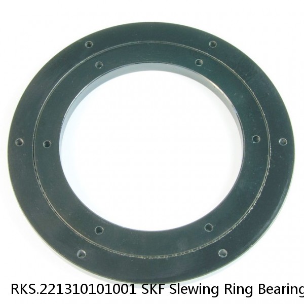 RKS.221310101001 SKF Slewing Ring Bearings #1 small image