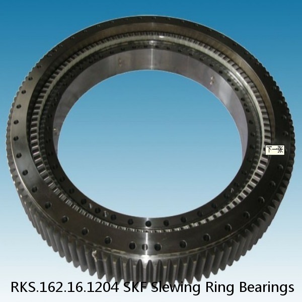 RKS.162.16.1204 SKF Slewing Ring Bearings #1 small image