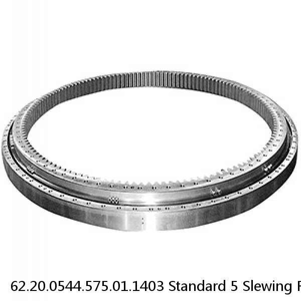 62.20.0544.575.01.1403 Standard 5 Slewing Ring Bearings #1 small image