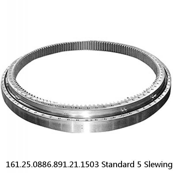 161.25.0886.891.21.1503 Standard 5 Slewing Ring Bearings #1 small image