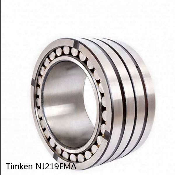 NJ219EMA Timken Cylindrical Roller Bearing #1 small image