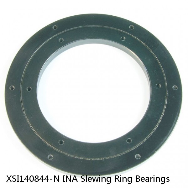 XSI140844-N INA Slewing Ring Bearings #1 image