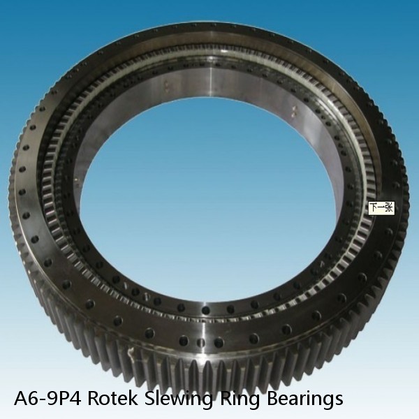A6-9P4 Rotek Slewing Ring Bearings #1 image