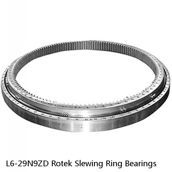 L6-29N9ZD Rotek Slewing Ring Bearings #1 image