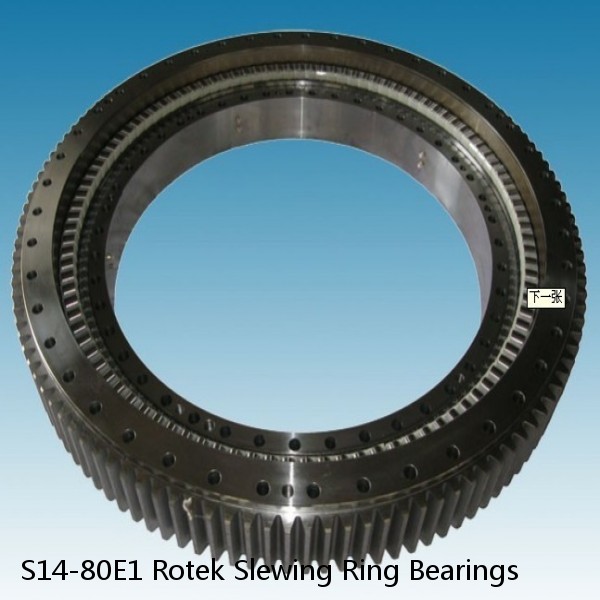 S14-80E1 Rotek Slewing Ring Bearings #1 image