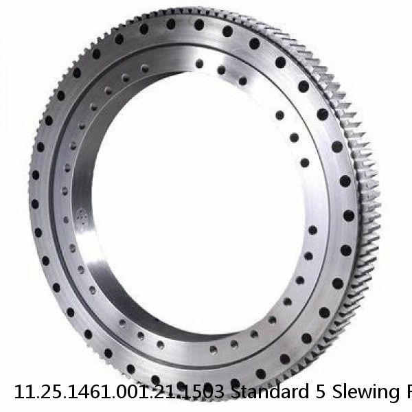 11.25.1461.001.21.1503 Standard 5 Slewing Ring Bearings #1 image