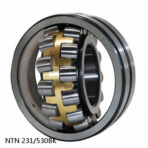 231/530BK NTN Spherical Roller Bearings #1 image