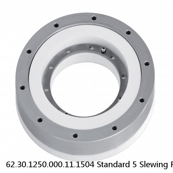 62.30.1250.000.11.1504 Standard 5 Slewing Ring Bearings #1 image