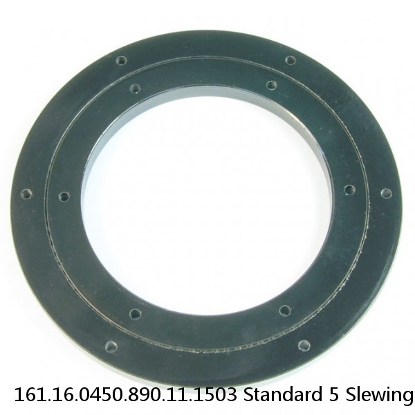 161.16.0450.890.11.1503 Standard 5 Slewing Ring Bearings #1 image
