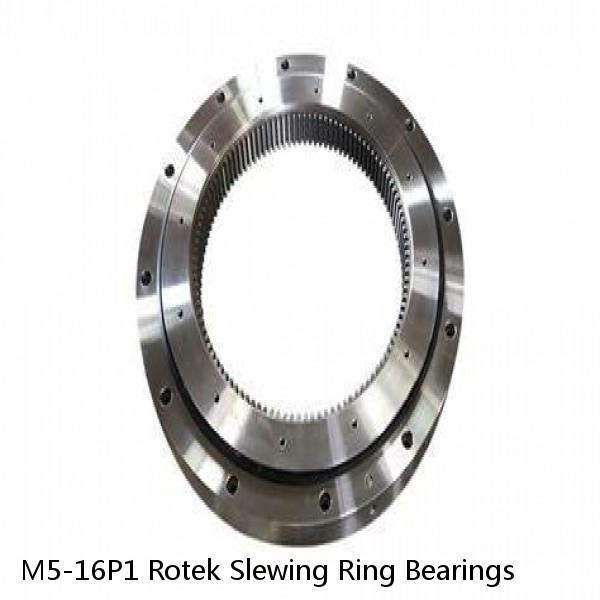 M5-16P1 Rotek Slewing Ring Bearings #1 image