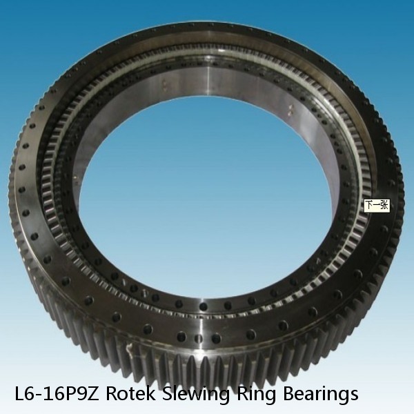 L6-16P9Z Rotek Slewing Ring Bearings #1 image