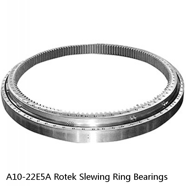 A10-22E5A Rotek Slewing Ring Bearings #1 image