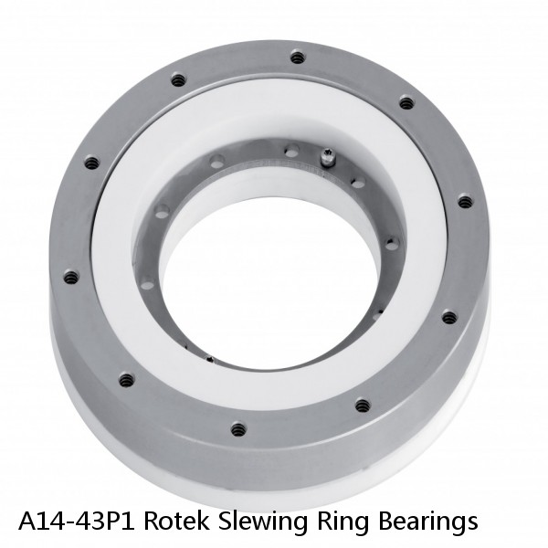 A14-43P1 Rotek Slewing Ring Bearings #1 image