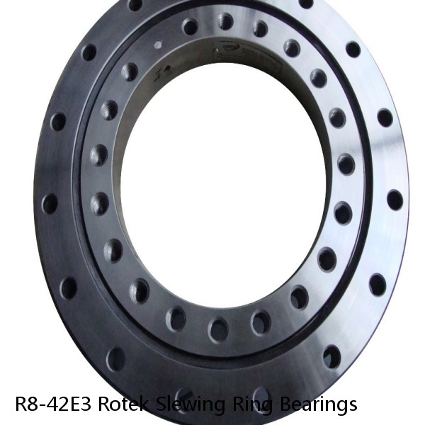 R8-42E3 Rotek Slewing Ring Bearings #1 image