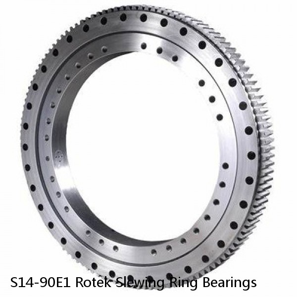 S14-90E1 Rotek Slewing Ring Bearings #1 image