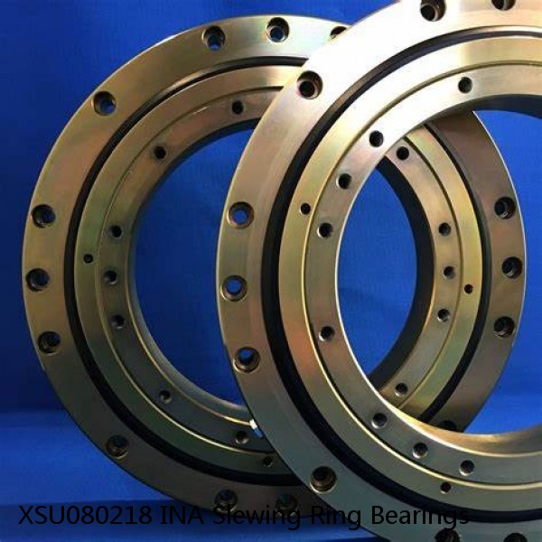 XSU080218 INA Slewing Ring Bearings #1 image