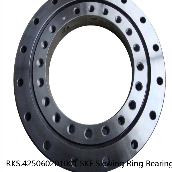 RKS.425060201001 SKF Slewing Ring Bearings #1 image